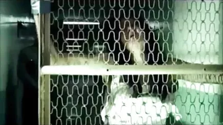 Cô gái thư ký văn phòng chết tiệt vl xx tv