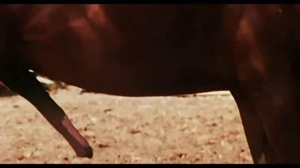 Giờ chơi với đồ vlxx vietsub chơi